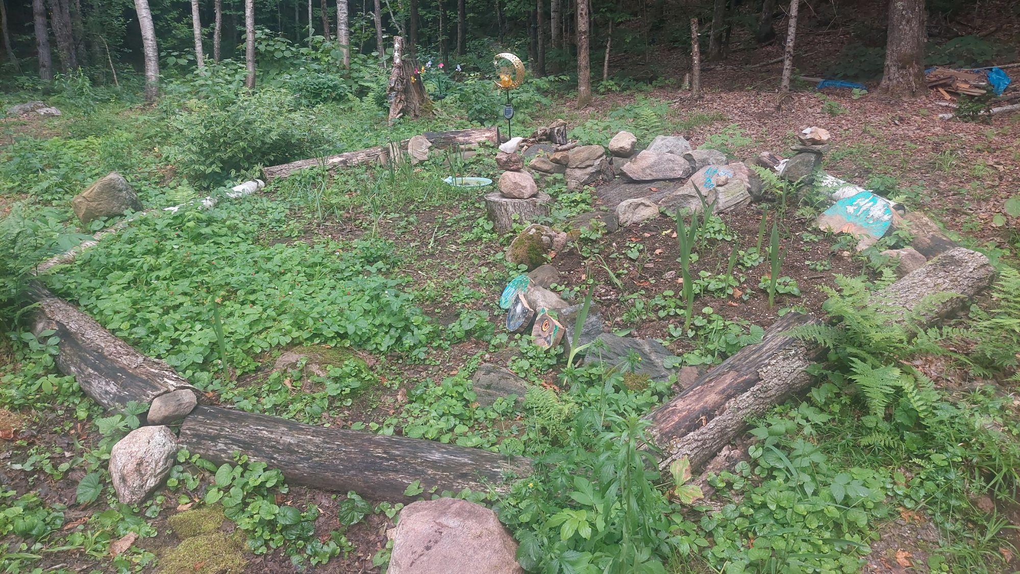 Leadership through Interaction with Nature